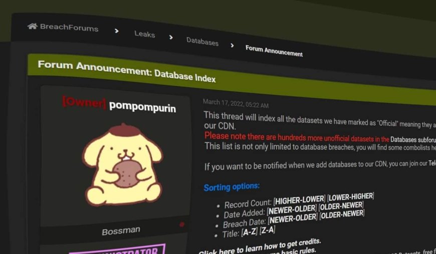 BreachForums'un Kurucusu "Pompompurin" New York'ta Tutuklandı.